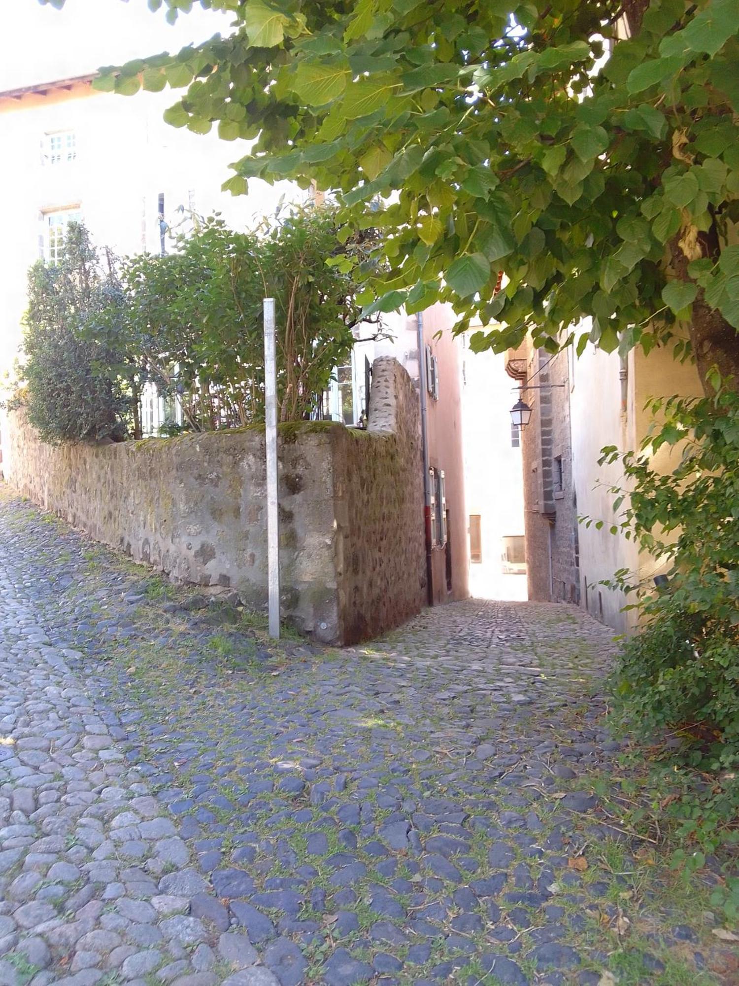 Le Relax Max Apartment Le Puy-en-Velay Room photo